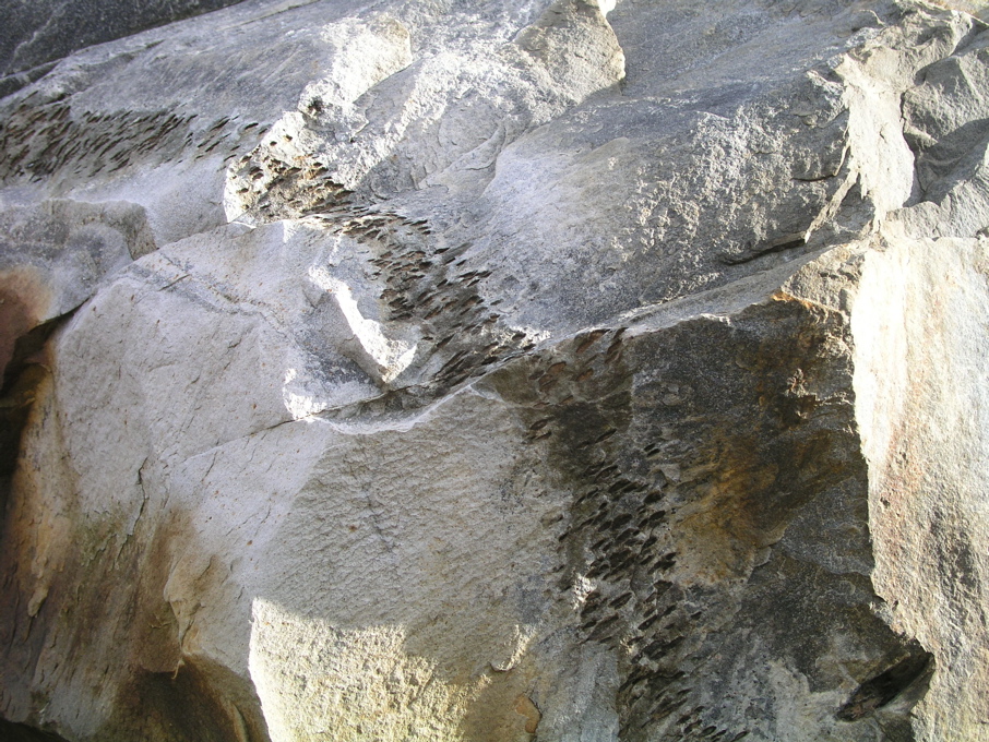P1010017.JPG