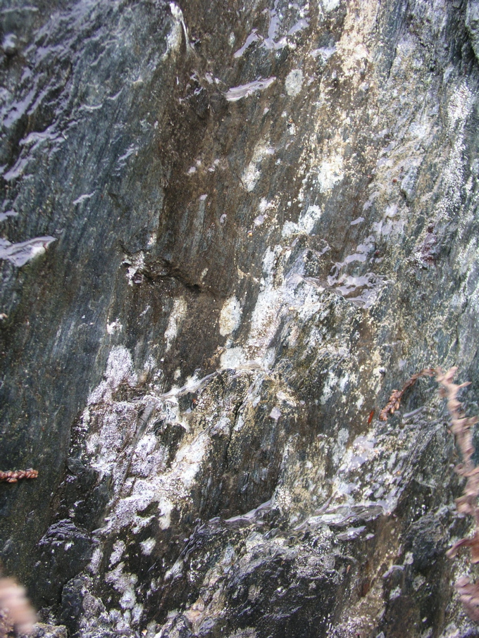 P1010193.JPG