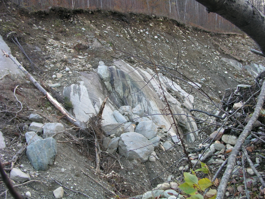 P1010194.JPG