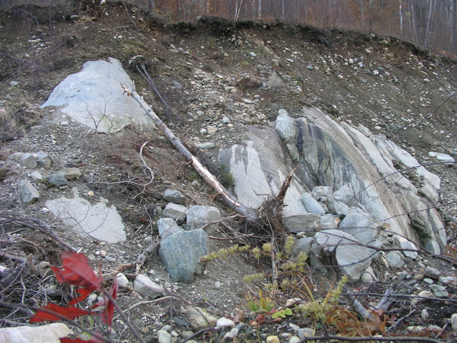P1010195.JPG