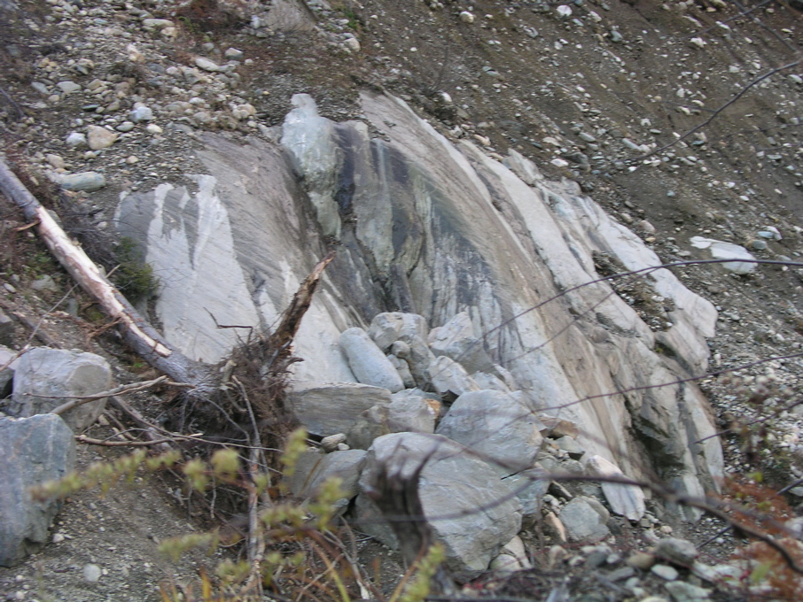 P1010196.JPG