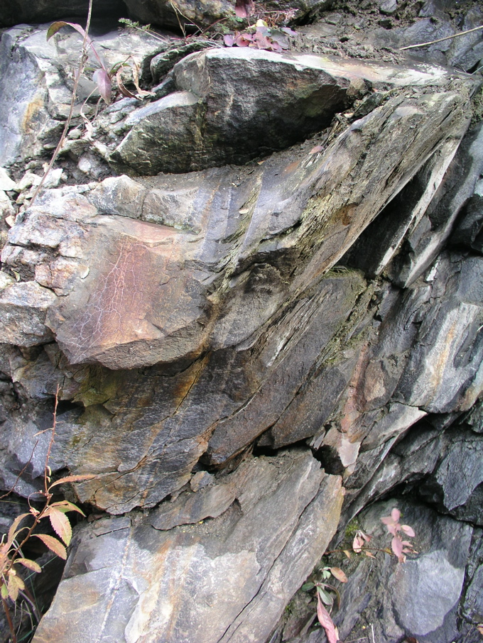 P1010023.JPG