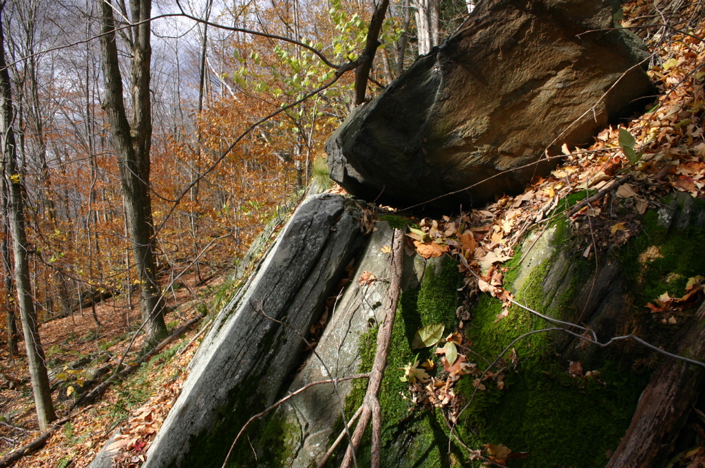 IMG_1629.JPG