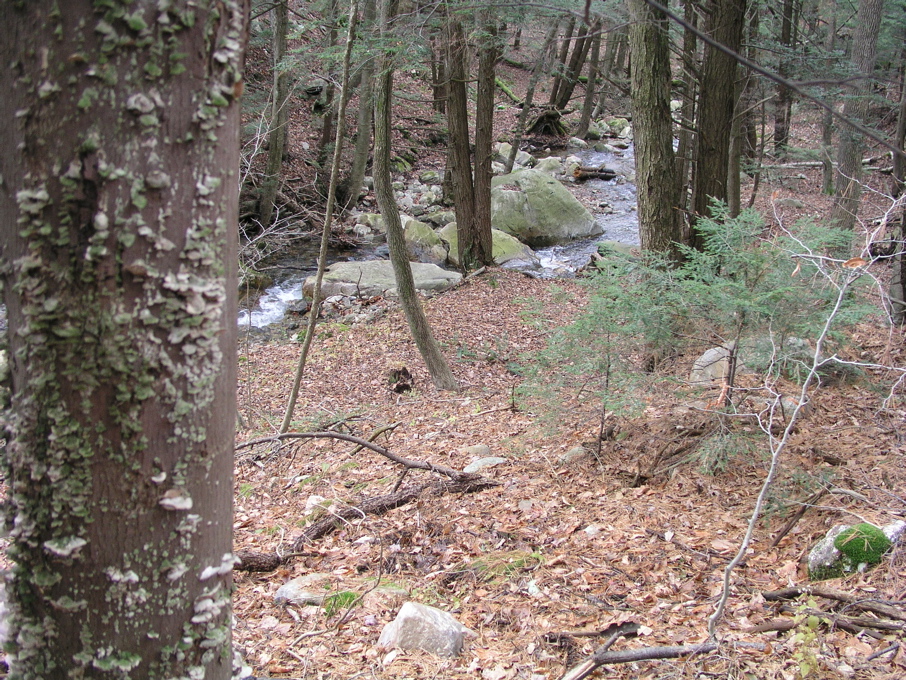P1010029.JPG