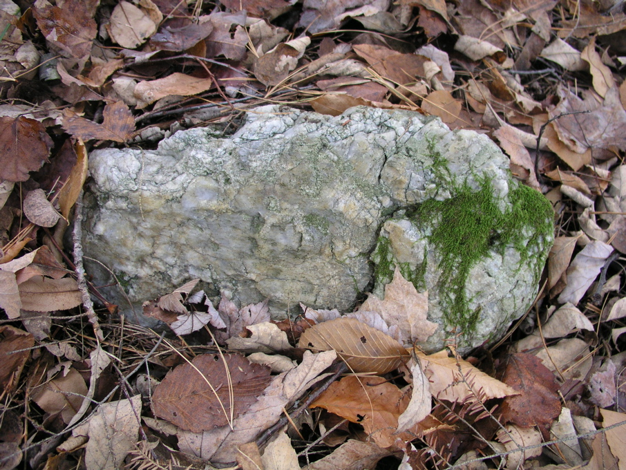 P1010031.JPG