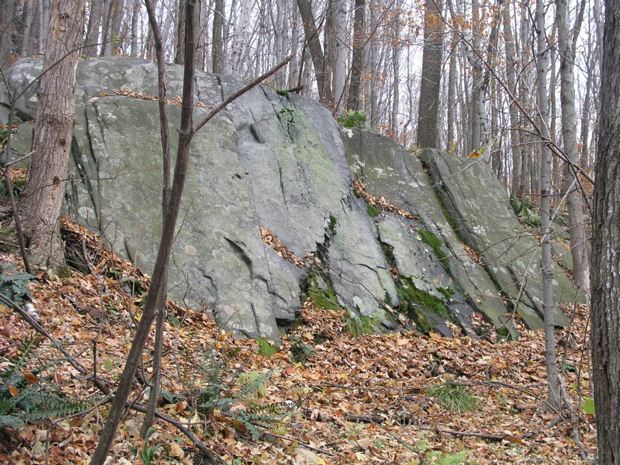 P1010040.JPG