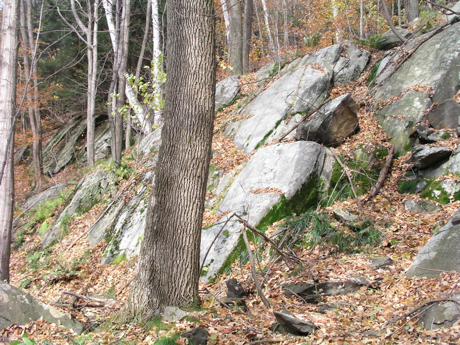 P1010041.JPG