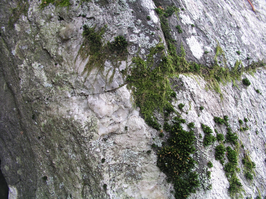 P1010051.JPG