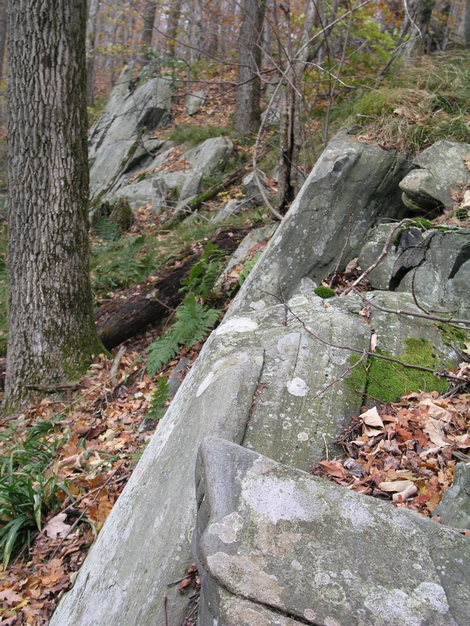 P1010054.JPG