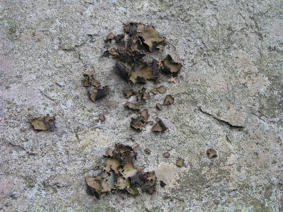 P1010055.JPG