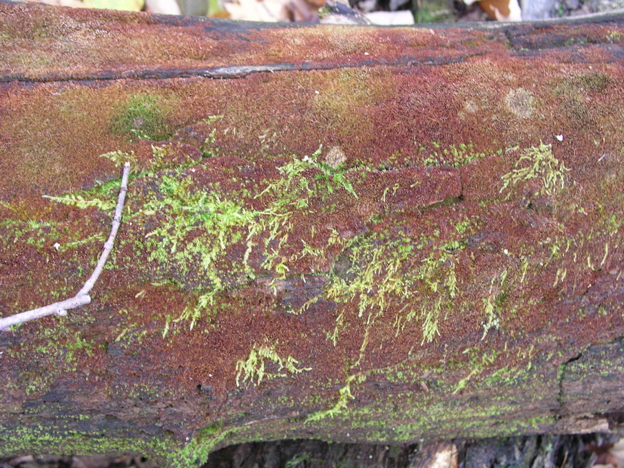 P1010057.JPG