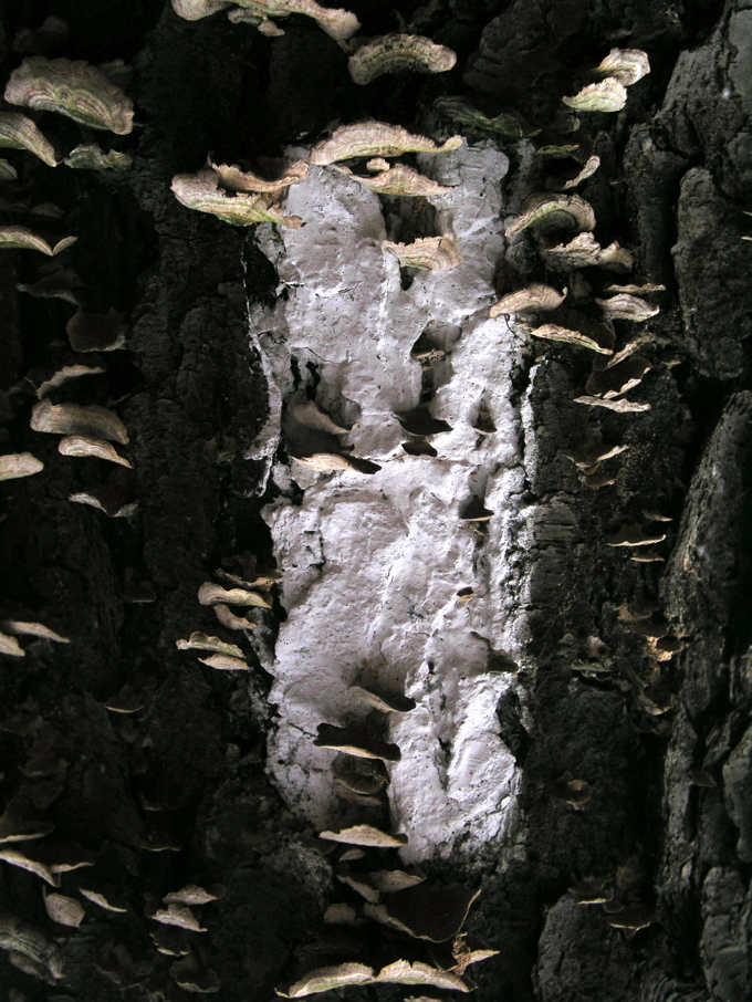 P1010058.JPG