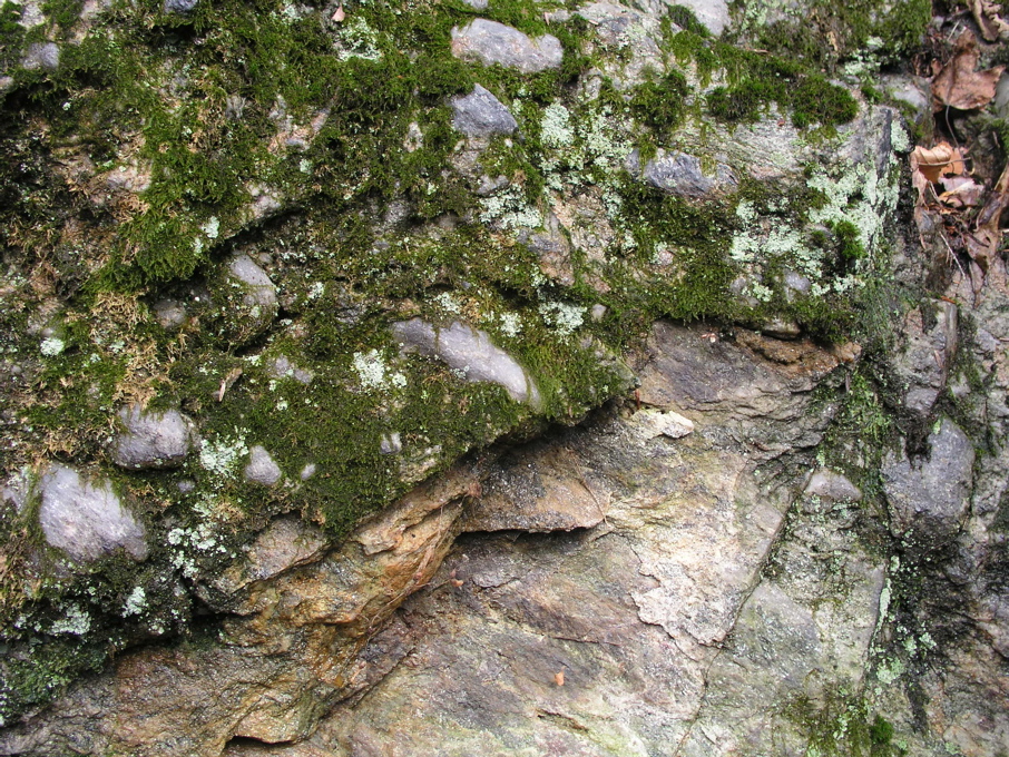 P1010061.JPG