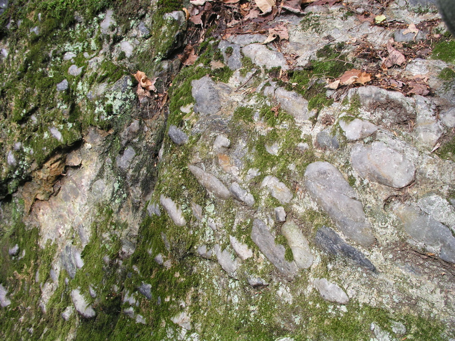 P1010062.JPG