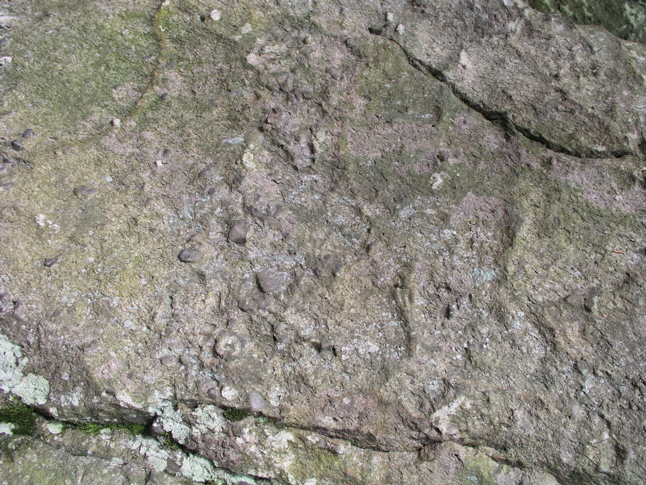 P1010064.JPG
