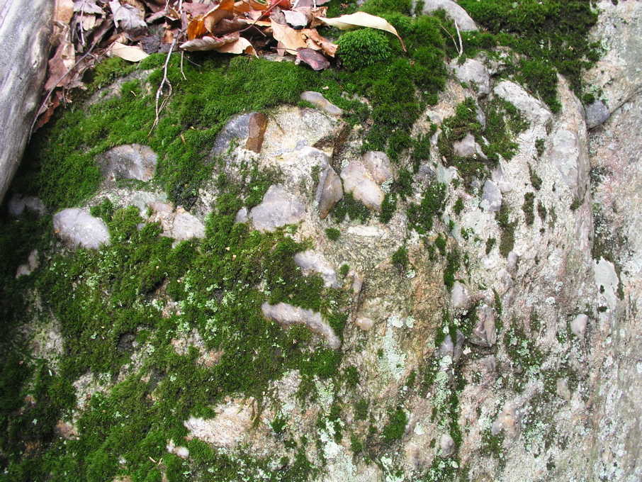 P1010069.JPG