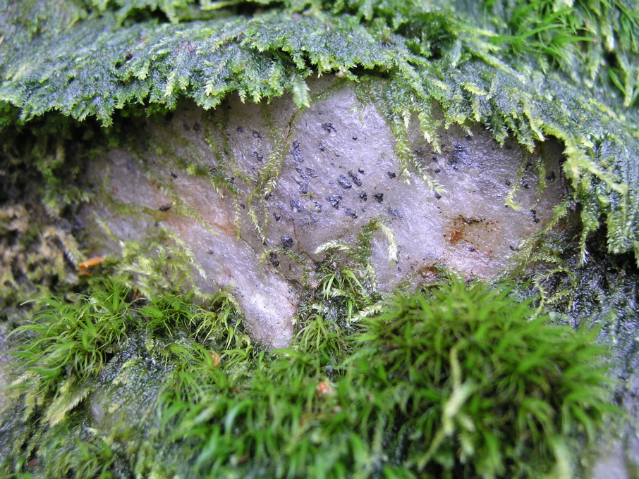 P1010075.JPG