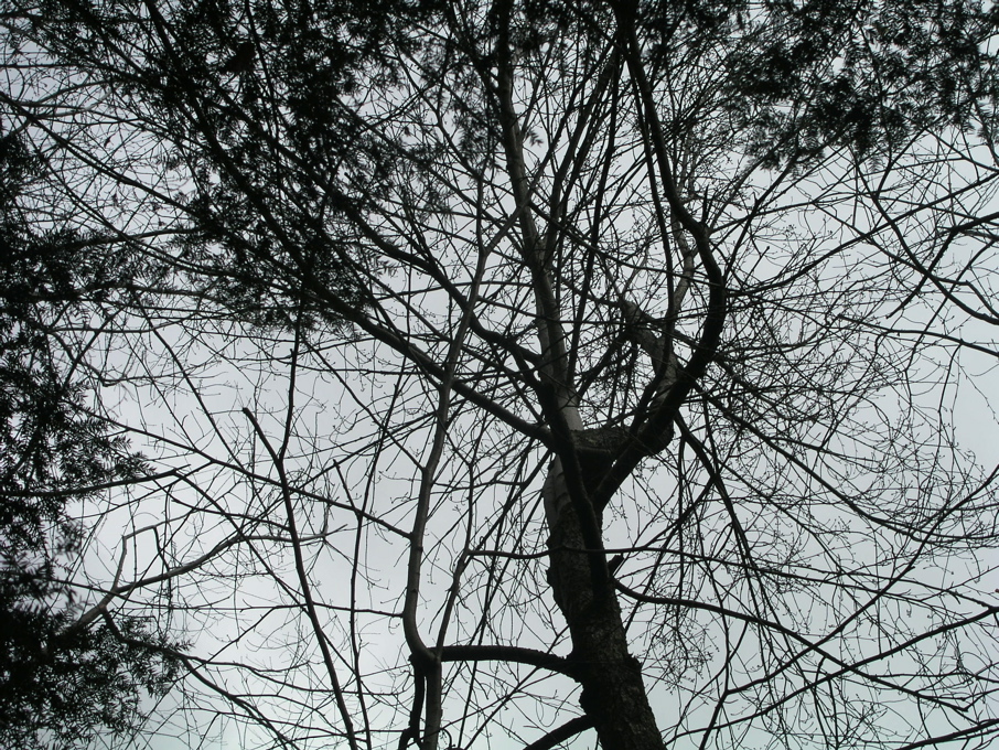 P1010082.JPG
