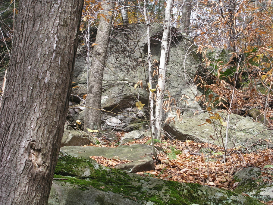 P1010085.JPG