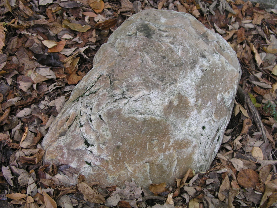 P1010088.JPG