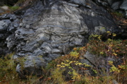 IMG_1653.JPG