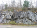 P1010097.JPG