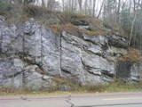 P1010098.JPG