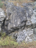 P1010099.JPG
