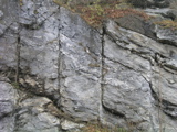 P1010100.JPG