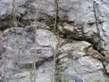 P1010101.JPG