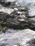 P1010105.JPG
