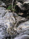 P1010106.JPG