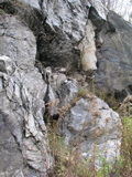 P1010110.JPG