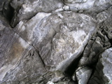 P1010113.JPG