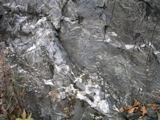 P1010115.JPG