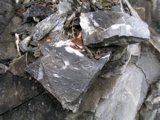 P1010117.JPG