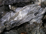 P1010120.JPG