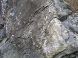 P1010121.JPG