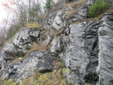 P1010123.JPG