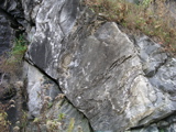 P1010124.JPG