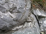 P1010131.JPG
