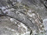 P1010133.JPG