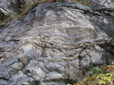 P1010134.JPG