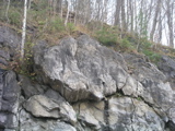 P1010136.JPG