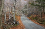 IMG_1655.JPG