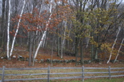 IMG_1656.JPG