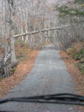 P1010137.JPG