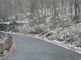 P1010142.JPG