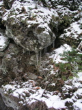 P1010145.JPG