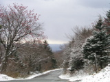 P1010146.JPG